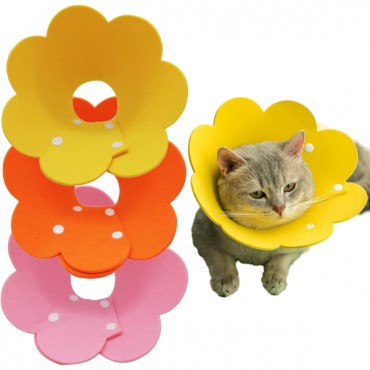 Evcil Hayvan Keçe Elizabeth Yakalığı