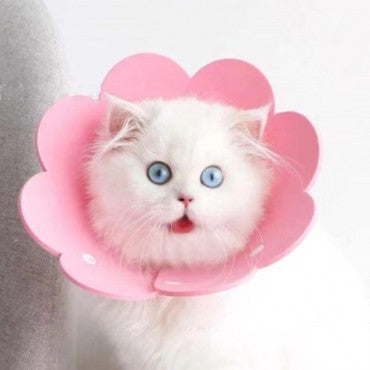 Evcil Hayvan Keçe Elizabeth Yakalığı