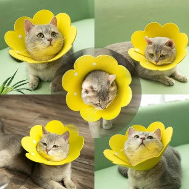 Evcil Hayvan Keçe Elizabeth Yakalığı