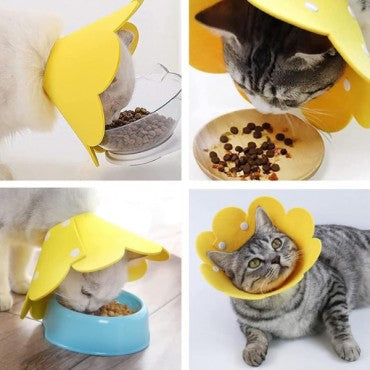 Evcil Hayvan Keçe Elizabeth Yakalığı