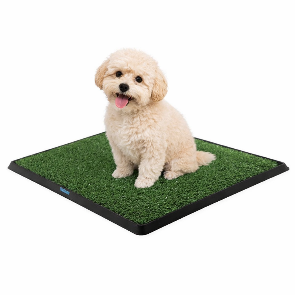 Köpek Tuvalet Eğitim Seti