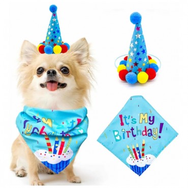Köpekler İçin Doğum Günü Partisi Seti