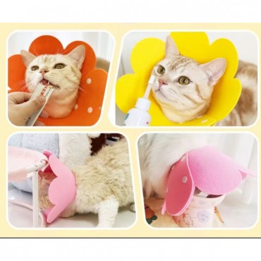 Evcil Hayvan Keçe Elizabeth Yakalığı