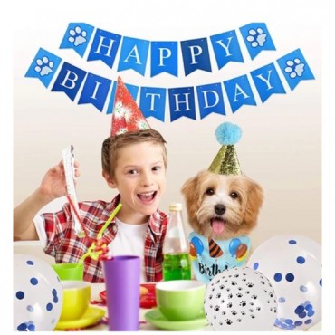 Köpekler İçin Doğum Günü Partisi Seti